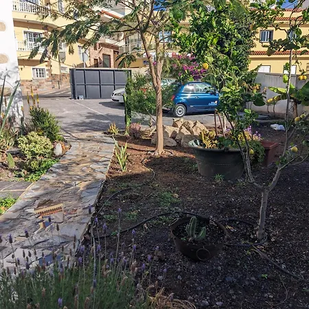 Casa Roberta Tierra * Arona (Tenerife)